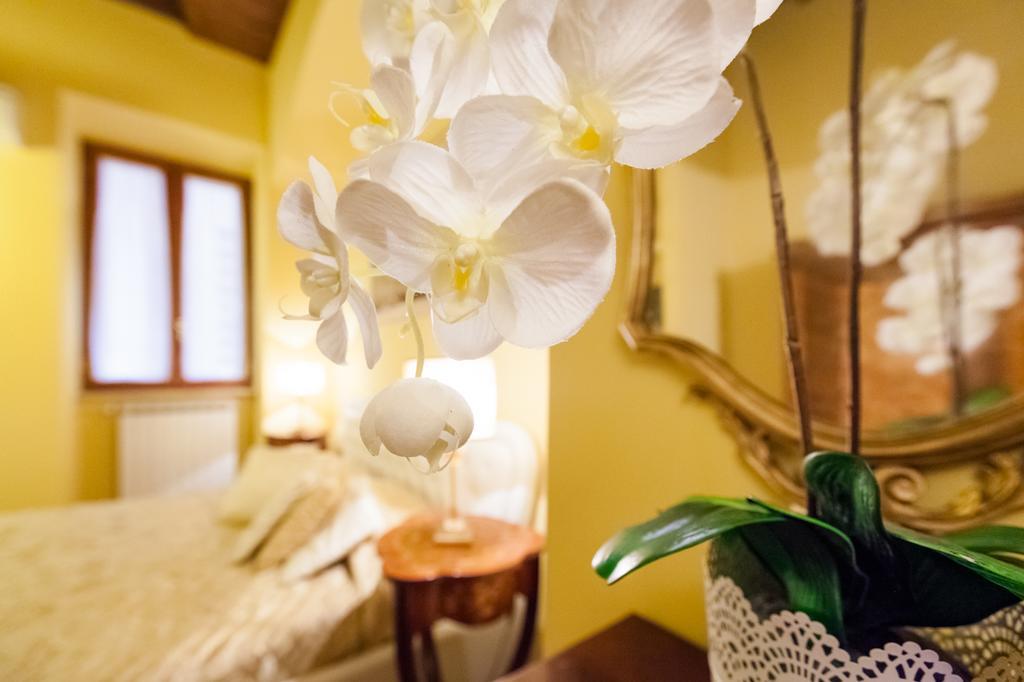 Impero Vaticano Navona Apartment โรม ภายนอก รูปภาพ